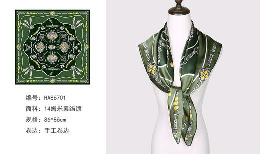 3F  ALA丝巾 商品图1