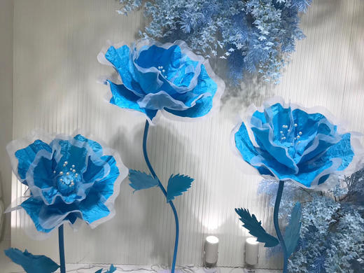 皱纹花🌸【运费自理】 商品图3