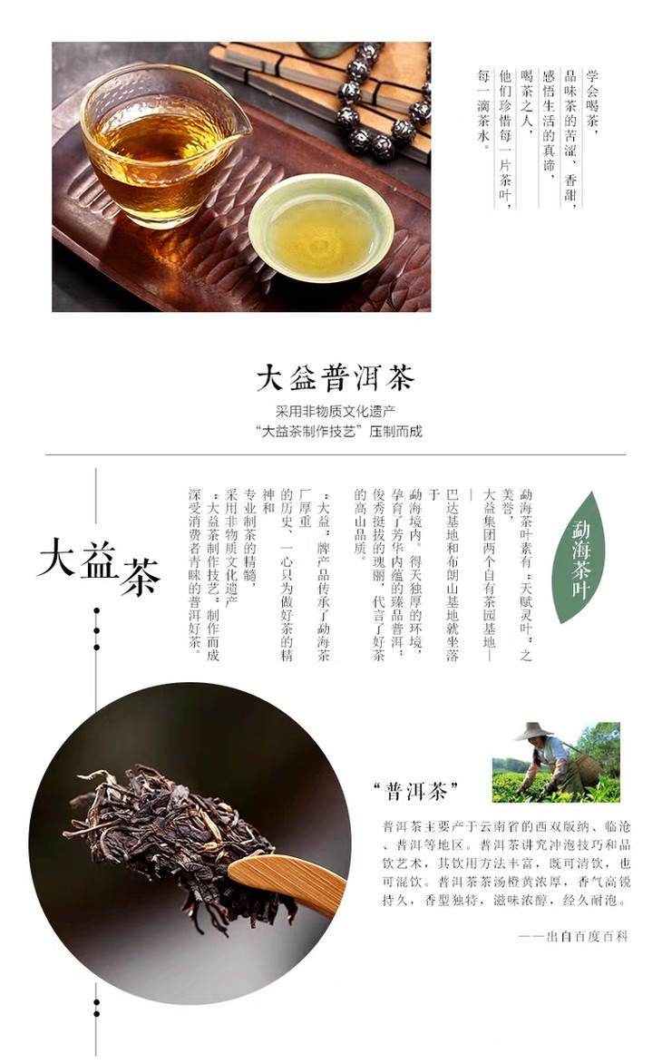 2013年1301早春乔木生茶