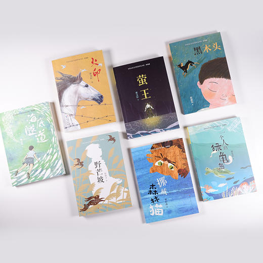 《中国儿童文学获奖作家书系》·典藏版 共7册 商品图5