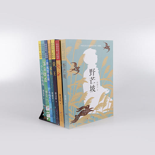 《中国儿童文学获奖作家书系》·典藏版 共7册 商品图2