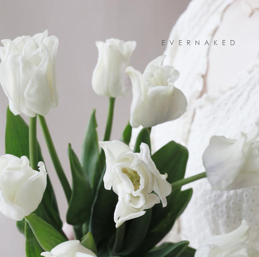 「单品花材」荷兰百合郁金香白色 商品图1