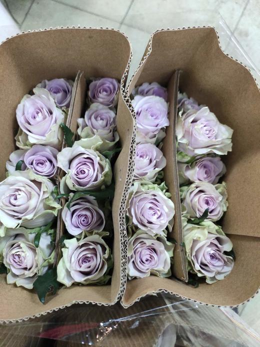 昆明玫瑰太空20支扎80公分