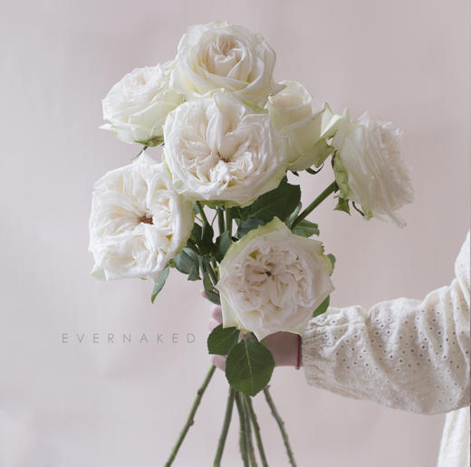 「单品花材」荔枝玫瑰白色 商品图0