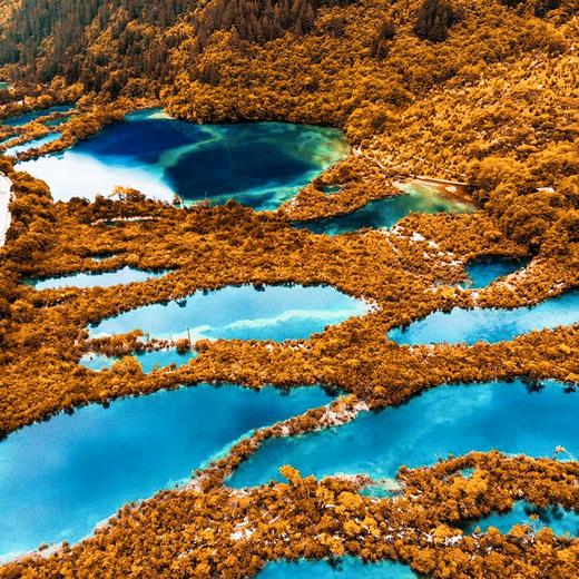 经典三日九寨沟+黄龙+都江堰/大熊猫·纯玩3日游·可升级航空舒适保姆车（成都市三环内包接+纯玩无购物·天天发团） 商品图1