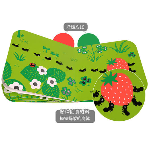 触摸大自然的色彩（全三册） 商品图7