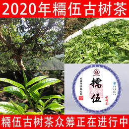 （众筹）2020年糥伍古树春茶