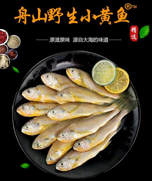 【嗨哆哆】舟山野生小黄鱼400g 商品图0