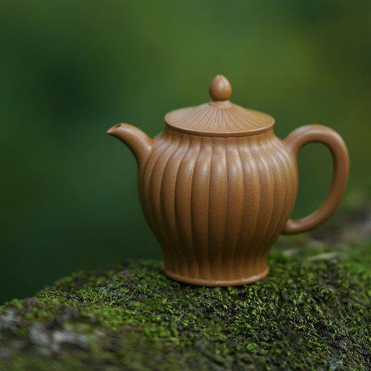 龙德堂陶艺 汤先武制 《静观》 300cc (库存请咨询客服) 商品图1