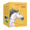 《中国儿童文学获奖作家书系》·典藏版 共7册 商品缩略图0