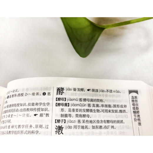 现代汉语规范词典 第3版 商品图4