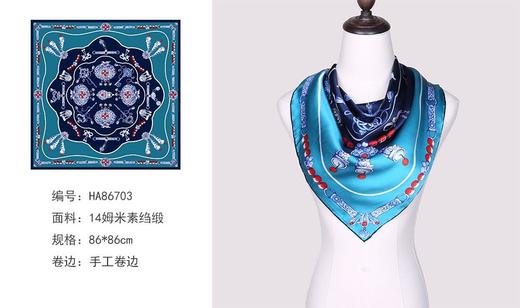 3F  ALA丝巾 商品图2