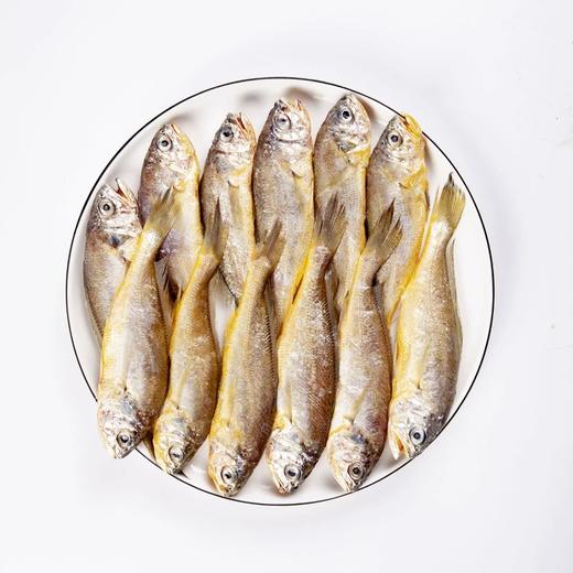 【嗨哆哆】舟山野生小黄鱼400g 商品图1