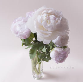 「单品花材」进口牡丹白色