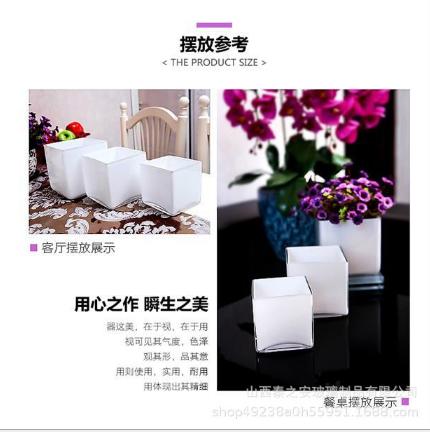 创意黑白方缸 商品图3