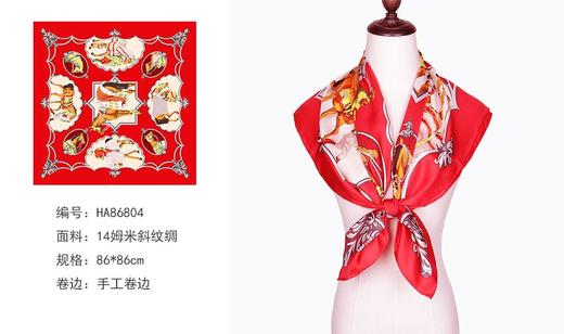 3F  ALA丝巾 商品图0