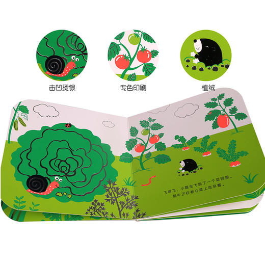 触摸大自然的色彩（全三册） 商品图9