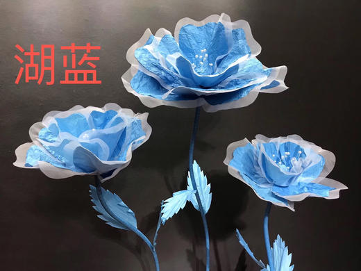 皱纹花🌸【运费自理】 商品图6