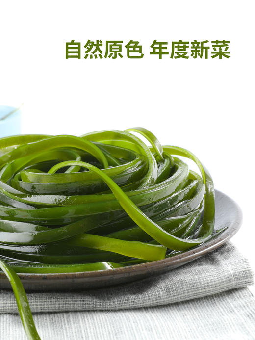 海洋魅力鲜焙海带丝 海带丝50g 商品图1