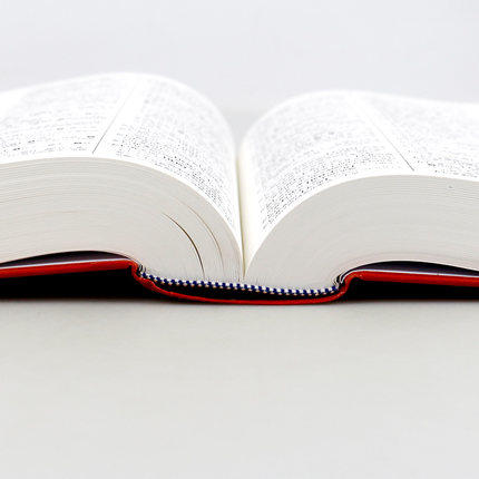 新明解日汉词典 日语词典 日本语字典 日语工具书 汉日词典 日本语入门初学自学零基础教材用书 商品图2