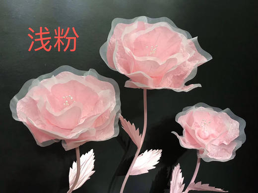 皱纹花🌸【运费自理】 商品图8