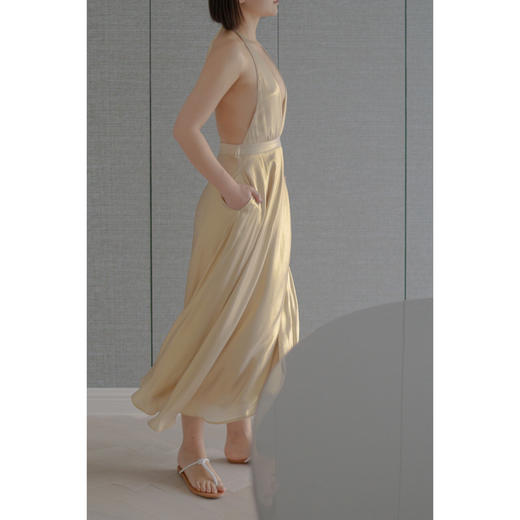 CG｜St. Tropez Dress [真丝深V连衣裙] 商品图7