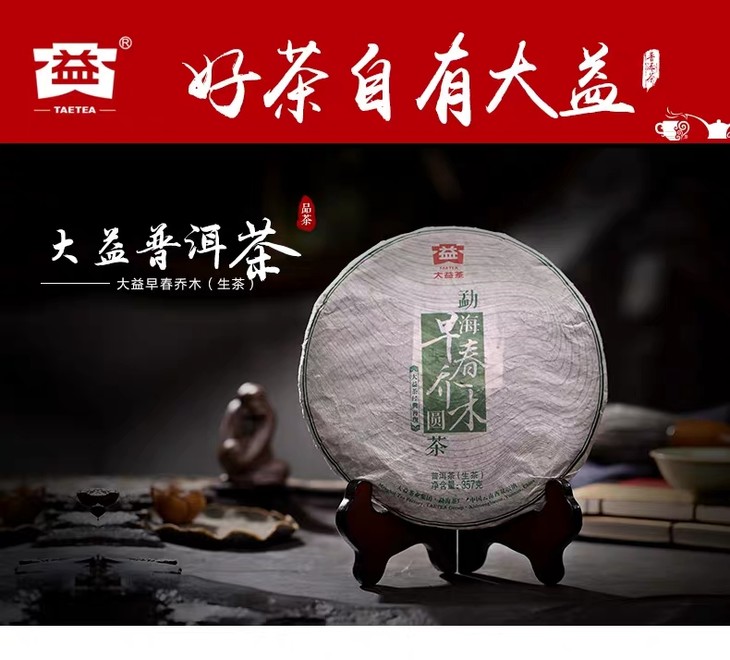 2013年1301早春乔木生茶