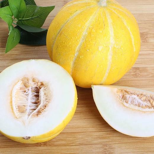 瓜中劳斯莱斯风雷瓜28元一颗免费切盒