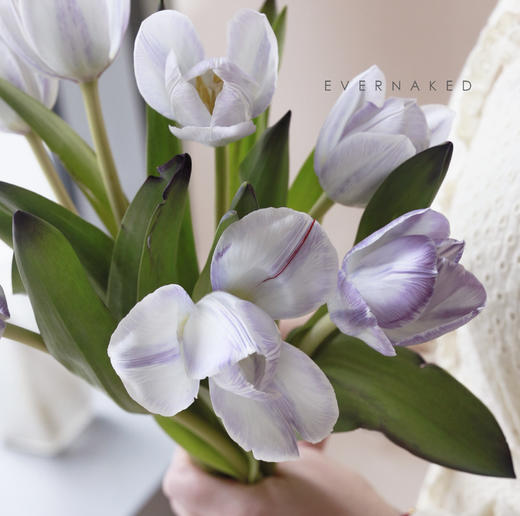 「单品花材」荷兰单瓣郁金香幻紫 商品图1