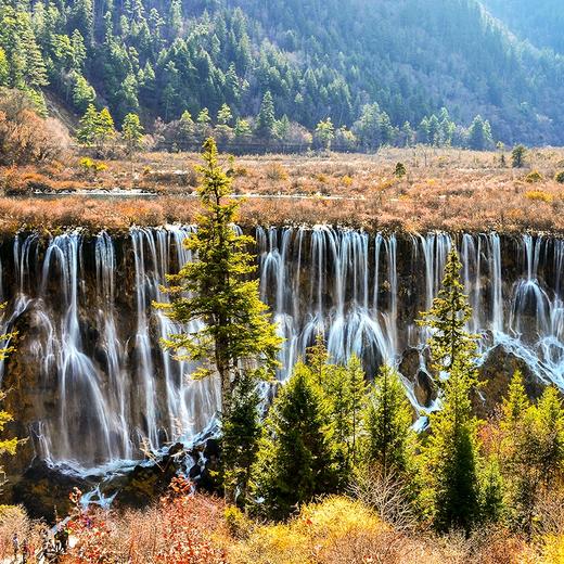 经典三日九寨沟+黄龙+都江堰/大熊猫·纯玩3日游·可升级航空舒适保姆车（成都市三环内包接+纯玩无购物·天天发团） 商品图2