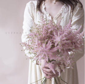 「单品花材」荷兰络新妇