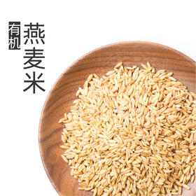 自营-有机燕麦米 580g
