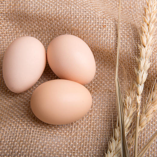 清远鸡初生蛋30枚/箱 清远鸡头窝蛋 商品图1