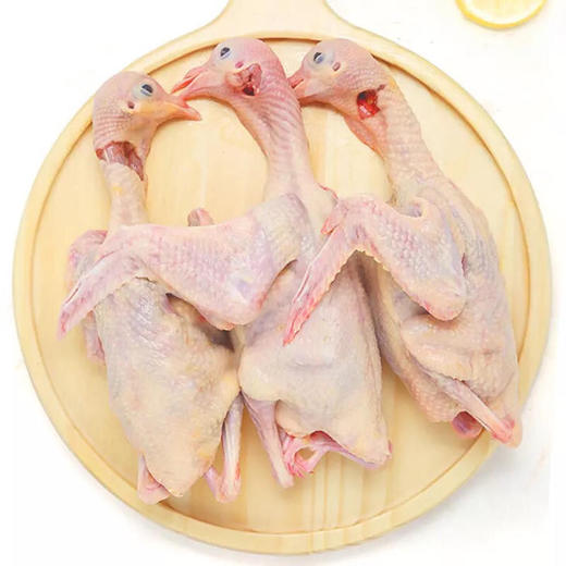 【社区团购】新桥高鹏 乳鸽 1只36 3只102（只有每周五发货） 商品图1