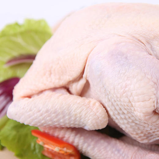 【买一送一】天农清远童子鸡1.2斤/只  谷物散养90天无激素走地鸡土鸡 供港品质新鲜 商品图5