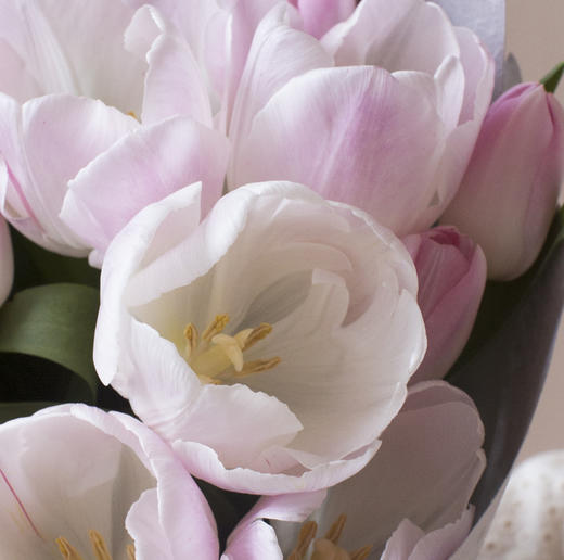 郁金香花束 商品图2