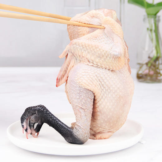 岭南黑脚土鸡1000g 商品图3