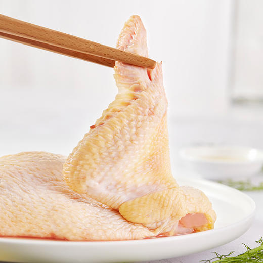 飞来峡土鸡750g 商品图3