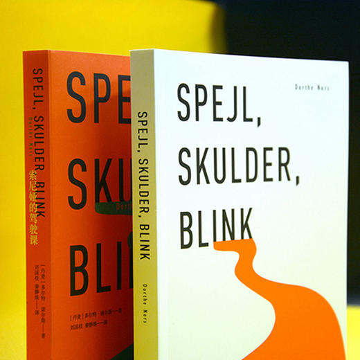 索尼娅的驾驶课 国际布克奖决选作品 被译为数十种语言 一位独立的现代女性对自我身份的审视与探寻 商品图3