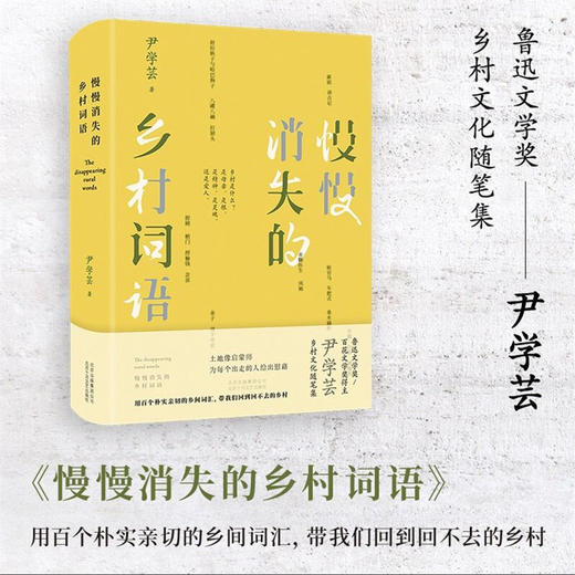 慢慢消失的乡村词语 商品图1