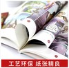 漫画中国历史(全47册 共一箱) 山东友谊出版社 商品缩略图4