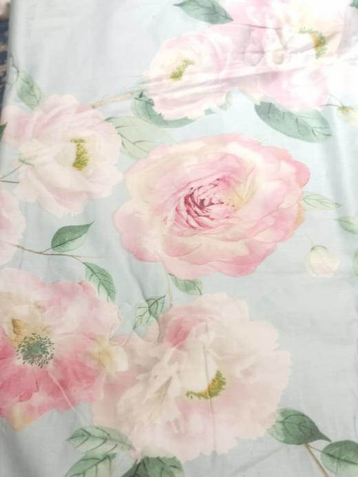 5F   罗曼罗兰  胶原蛋白全棉夏被 商品图1