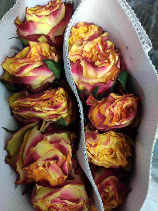 林奇玫瑰烛光10支扎