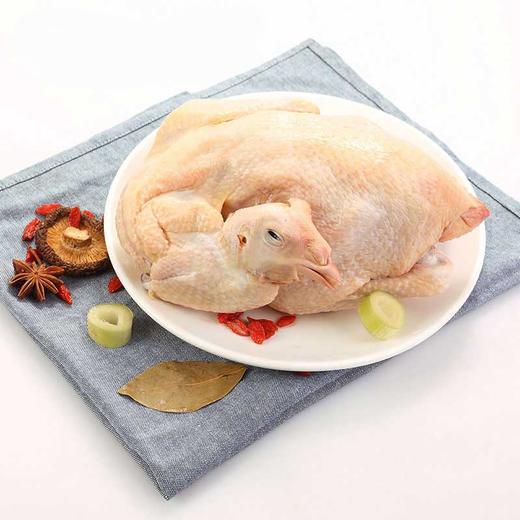 清远童子鸡600g 商品图0