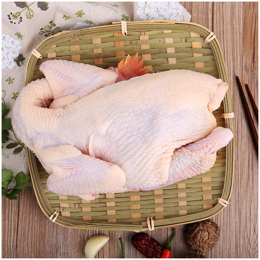 原种清远皇后鸡900g 老母鸡养足365天 商品图0