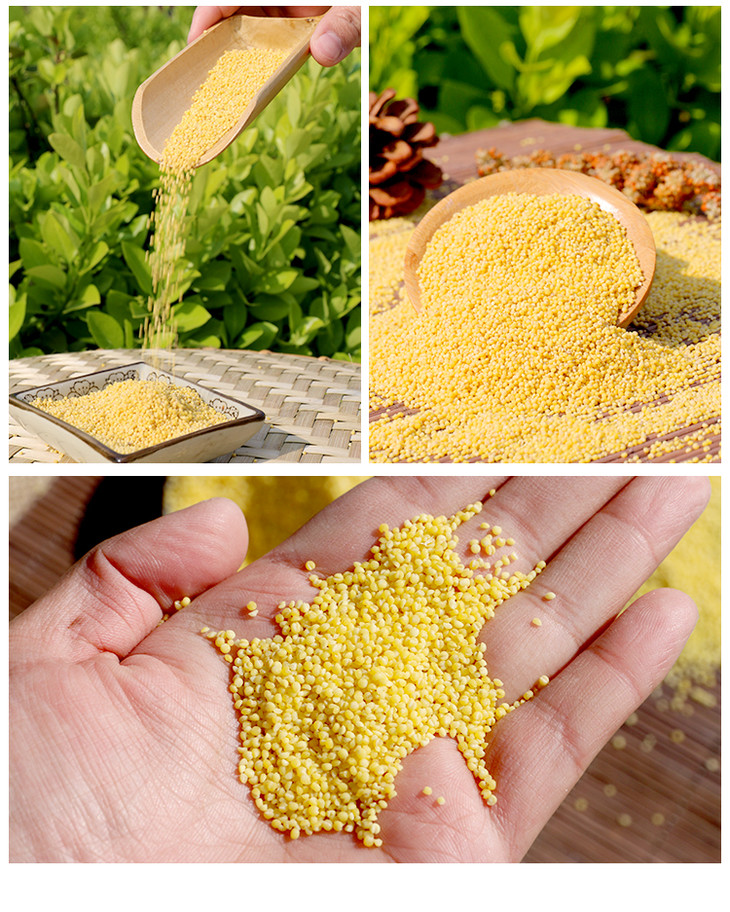 包邮密农人家山区传统种植红谷小米厚厚的米油很香400g4袋