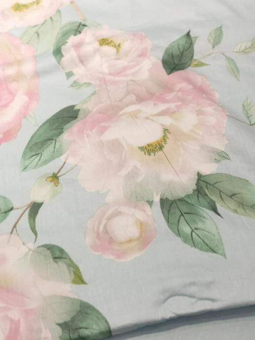 5F   罗曼罗兰  胶原蛋白全棉夏被 商品图0