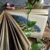 植物寓言（法国guojia图书馆精选100幅植物画 有故事的植物画，有历史感的植物之旅 发现自然  记录植物永恒之美） 商品缩略图3
