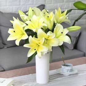 百合-黄天霸-多头-10枝/扎