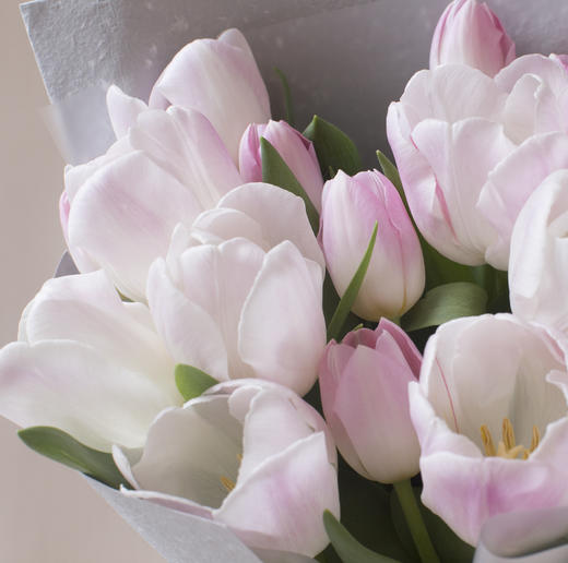 郁金香花束 商品图3